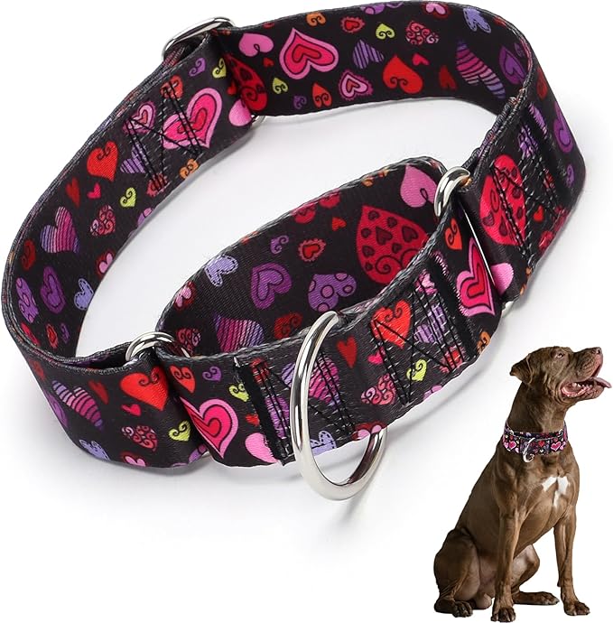 1.5 Inches Wide Martingale Dog Collar
