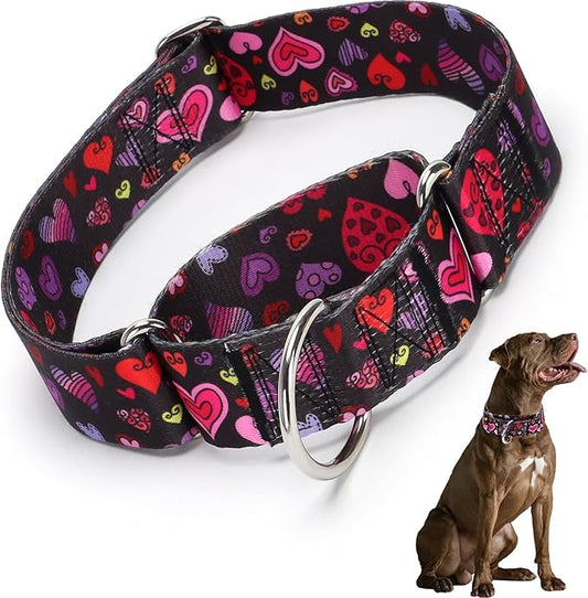 1.5 Inches Wide Martingale Dog Collar