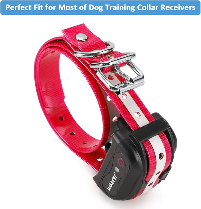 Replacement Collar Strap 3/4',Reflective,Adjustable,Metal Buckled,Waterproof