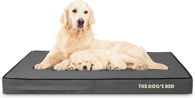 The Dog’s Bed Orthopedic Memory Foam Dog Bed 46x28, Pain
