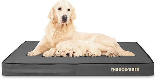 The Dog’s Bed Orthopedic Memory Foam Dog Bed 46x28, Pain