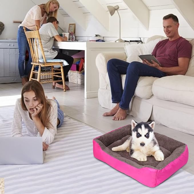 PUPPBUDD Dog Beds for Medium Dogs