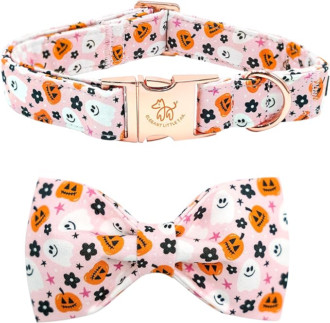 Elegant little tail Fall Dog Collar