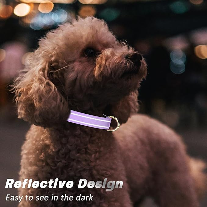 Reflective Dog Collar