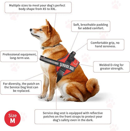 Service Dog Vest, Service Dog Tag and 50 ADA Information Cards,Service Dog Harness in Sizes X Small to XX Large, Ruggedized Metal Tag, Service Animal Information Cards, ESA Accessory Set (Medium)