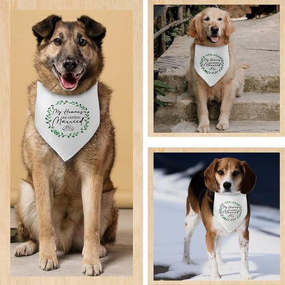 My Humans are Getting Married Dog Bandana Funny