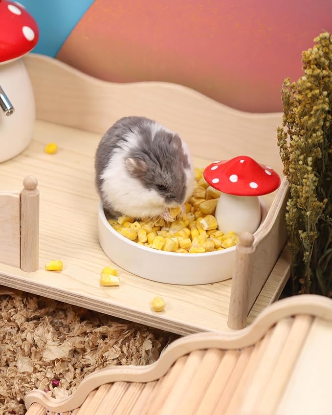 Niteangel Hamster Snack & Treats Toy - Small Animal Natural Treat for Dwarf Syrian Robo Hamsters Gerbils Mice Lemmings Degus or Other Small-Sized Pets (Freeze-Dried Corn)