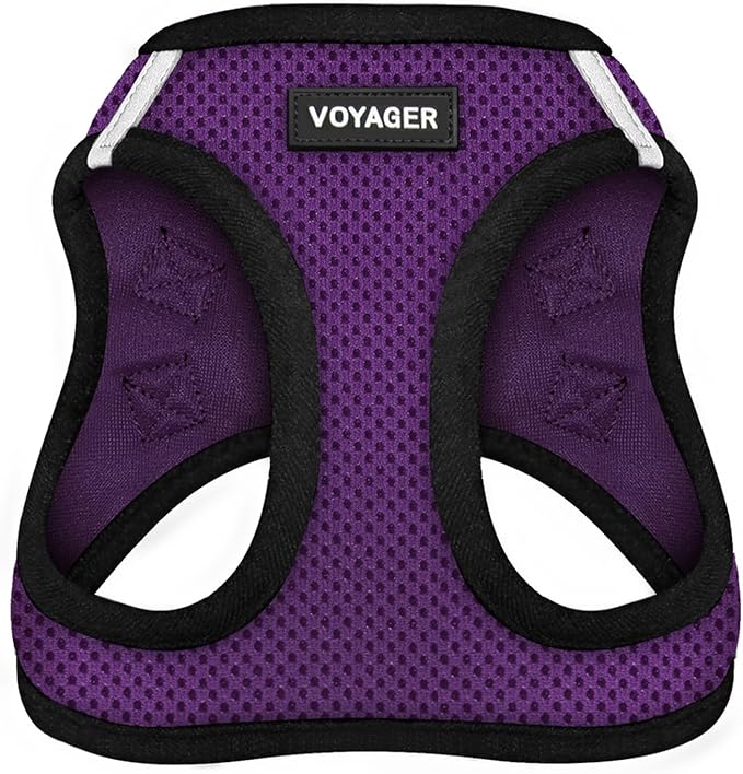 Voyager Step-in Air Cat Harness - All Weather Mesh Step in Vest Harness for Small and Medium Cats by Best Pet Supplies - Harness (Purple/Black Trim), XXS (Chest: 10.5-13")