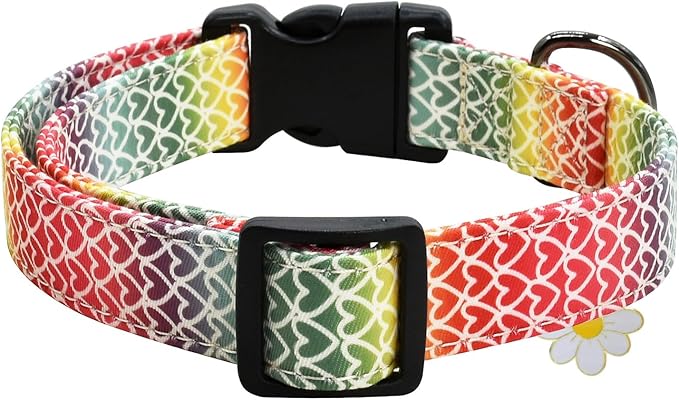 Colorful Heart Dog Collar with Pendant