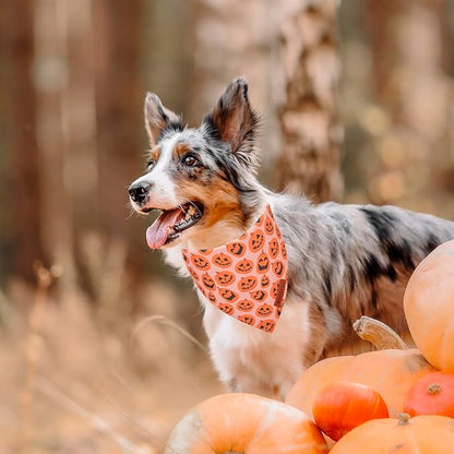 ADOGGYGO Halloween Dog Bandana