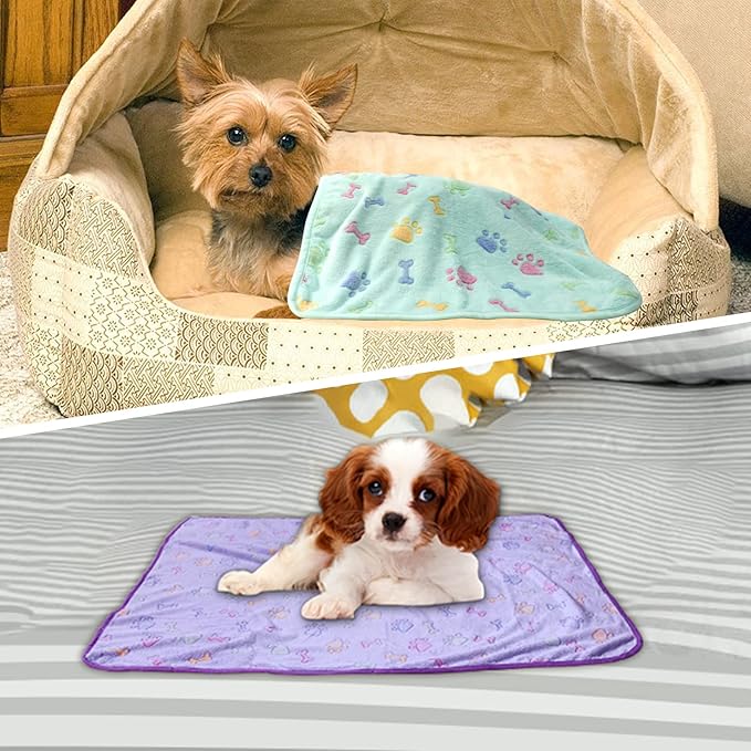 Dog Blanket for Small Dogs 3 Pack (23x16 inch)