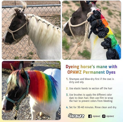 OPAWZ Permanent Dog Hair Dye, Pet Hair Dye Safely Used by Grooming Salons for a Decade, Pet Safe Dye Lasts Over 20 Washes, Bright Color for Dogs and Horses (Forest Green)