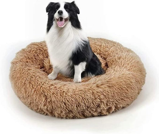 Dog Bed