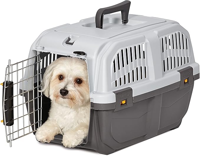 MidWest Homes for Pets Skudo Plastic Carrier, 19-Inch Ideal for "Toy" Dogs with an Adult Weight up to 6 Pounds