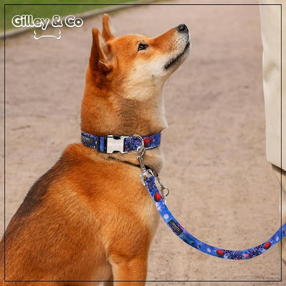 Gilley&Co Dog Collar and Leash Set 8 Designs, 4 Sizes