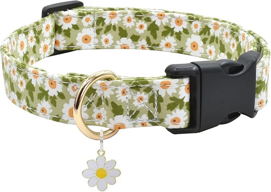 Flower Patterns Dog Collar with Accessories