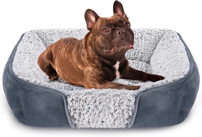 Dog Bed for Small Medium Dogs