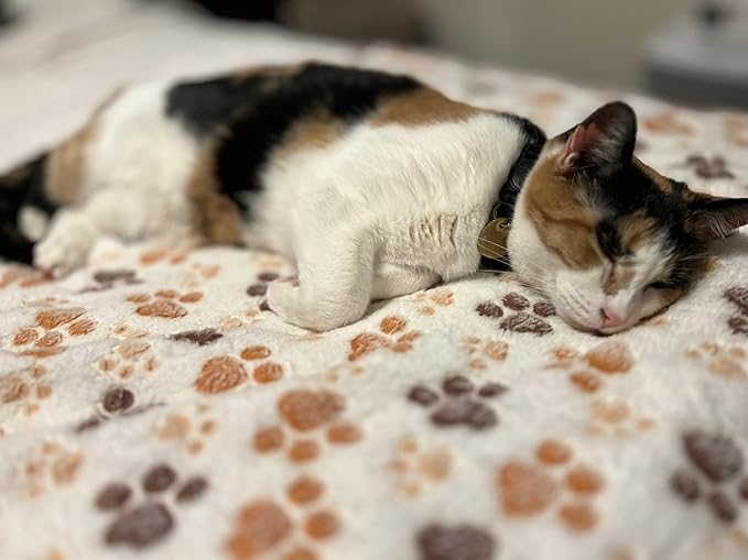 Pet Blankets Calico Beige Collection. Pet Blankets for Cats