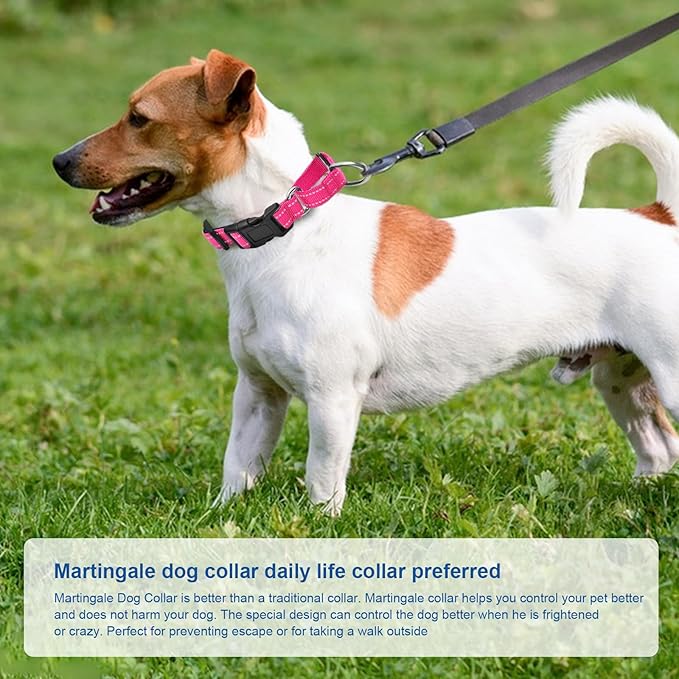 Reflective Martingale Dog Collars. Dog Collar with Quick