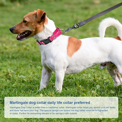 Reflective Martingale Dog Collars. Dog Collar with Quick