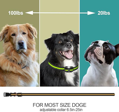 Dog Shock Collar with Remote 1640FT IP67 Waterproof 2 Dogs