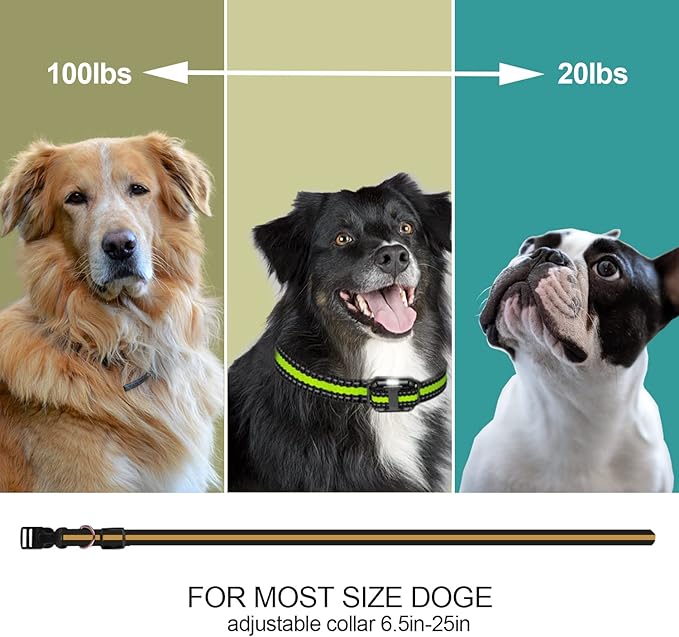 Electric Dog Training Collar with Remote 1640FT IP67 Waterproof 1 Dog