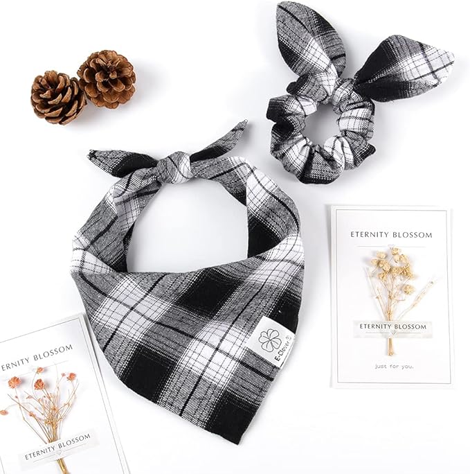 E-Clover Dog Bandanas & Matching Scrunchie Set Boy