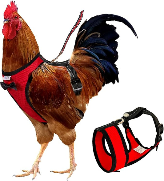 Premium Chicken Harness with 5.5-Foot Matching Leash – Customizable Size, High Resilience, Ultra-Comfort, Breathable Mesh, Ideal for Small Hens Weighing Approximately 3.0 Pounds, Red