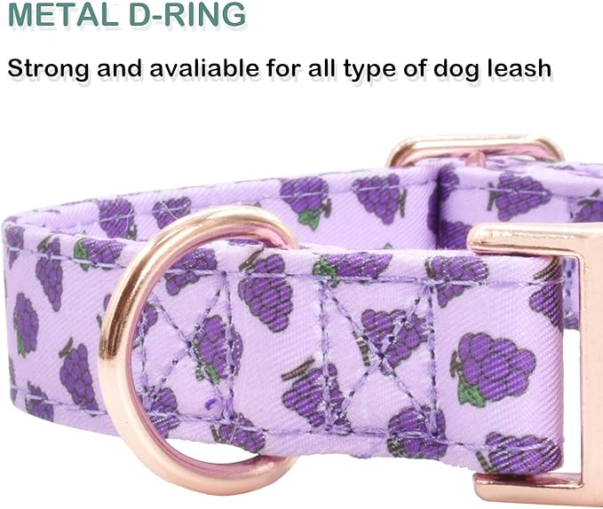 Cotton Dog Collar Metal Buckle Daisy Summer M(13-18in))