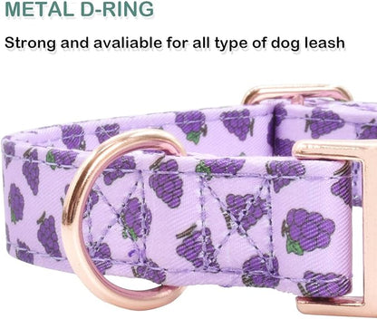 Cotton Dog Collar Metal Buckle Daisy Summer M(13-18in))