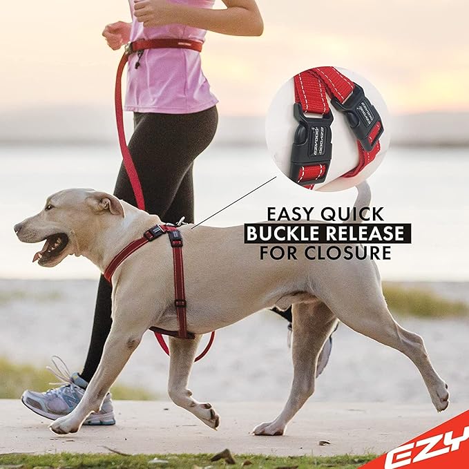 EzyDog Chest Plate Custom Fit Dog Harness (X-Small