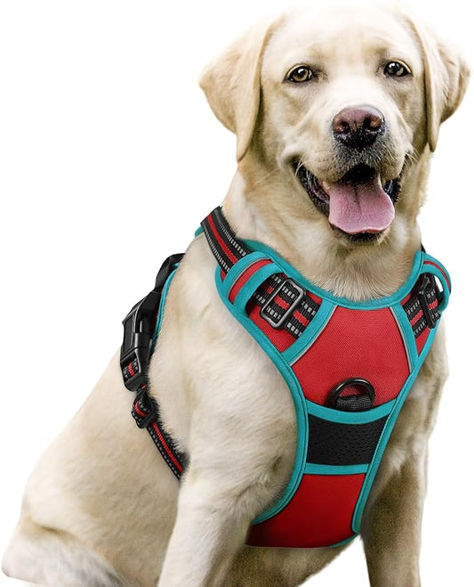 rabbitgoo Dog Harness, No-Pull Pet Harness with 2 Leash Clips, Adjustable Soft Padded Dog Vest, Reflective No-Choke Pet Oxford Vest with Easy Control Handle for Large Dogs, Red & Teal, L