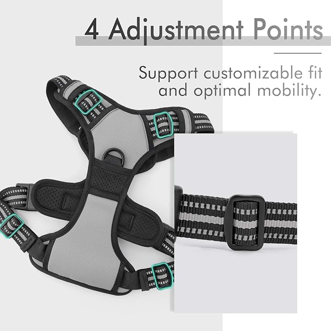 rabbitgoo Dog Harness 2 Leash