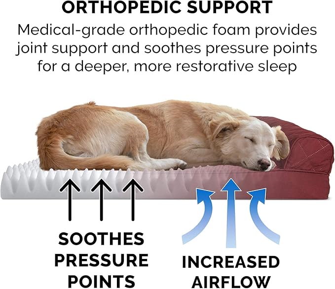 Furhaven Orthopedic Dog Bed for Medium/Small Dogs w/ Removable Bolsters & Washable Cover 35 lbs