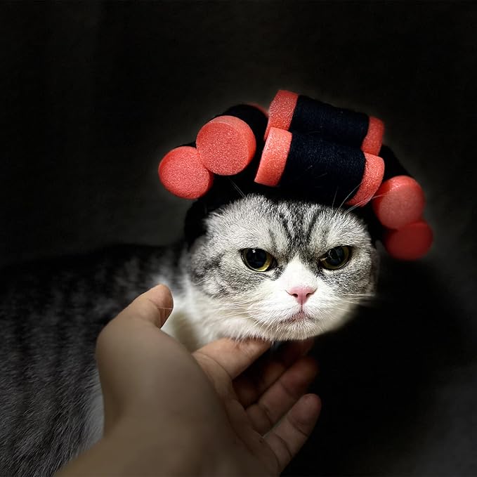 Funny Dog Cat Cosplay Wig