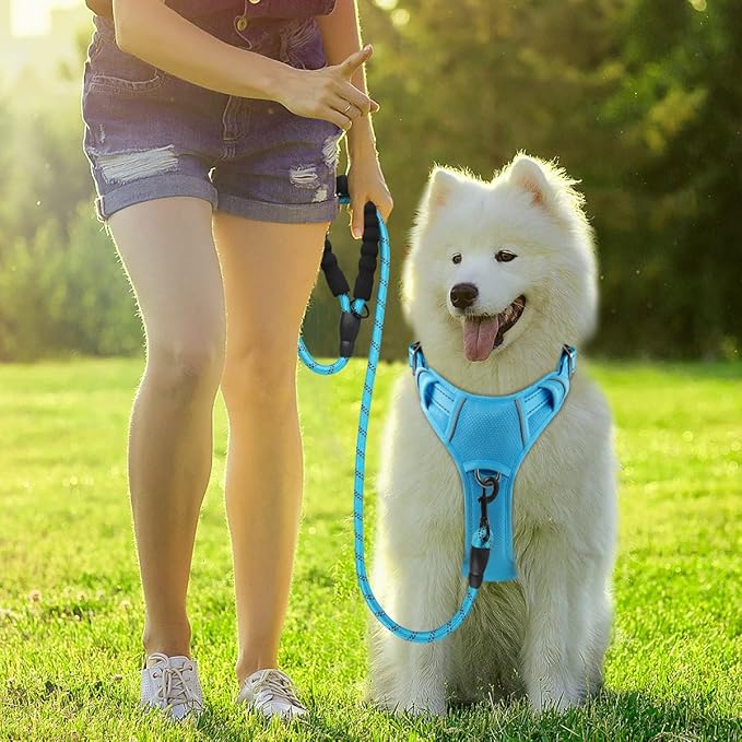 BARKBAY Dog Harness No Pull with ID Tag Pocket - Heavy Duty, Reflective, Easy Control for Large Dogs (Blue,L)