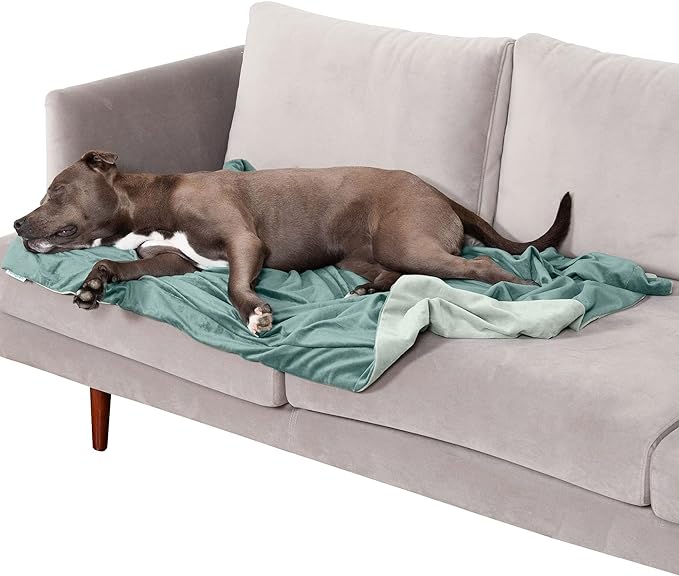 Furhaven Waterproof Throw Blanket for Dogs & Indoor Cats