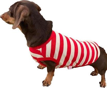 Dachshund Clothes for Dogs Mini and Adults T Shirts (M