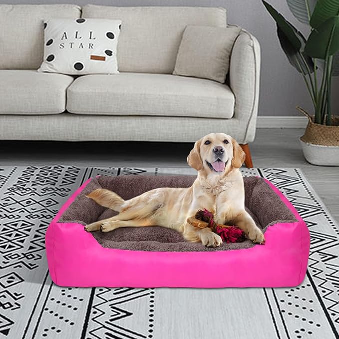 PUPPBUDD Dog Beds for Medium Dogs