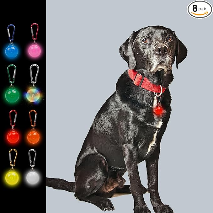 Dog Collar Lights Night,3 Types