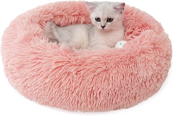 Small Cat Beds for Indoor Cats 16 inches, 5lbs)