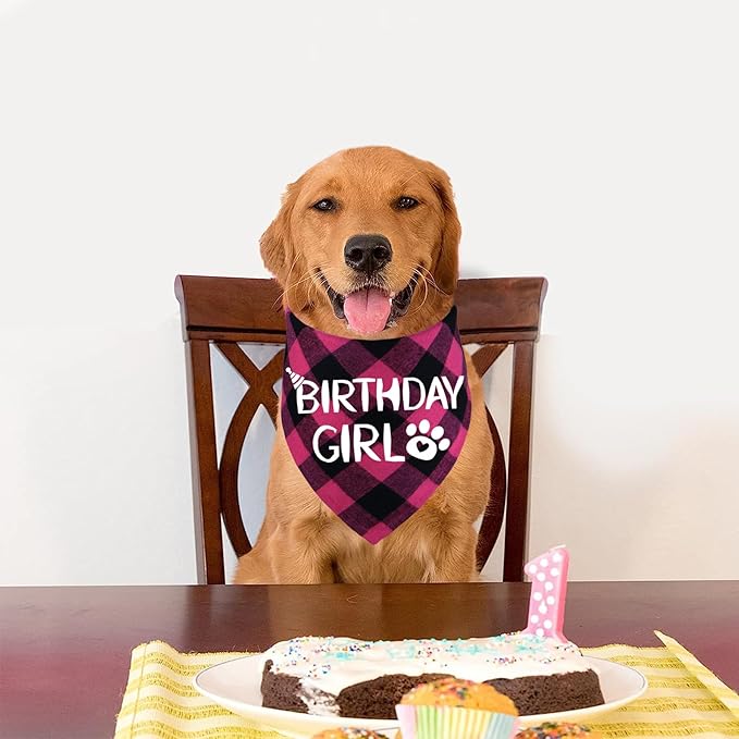 STMK Dog Birthday Bandana
