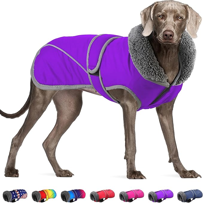 Dogcheer Dog Coat