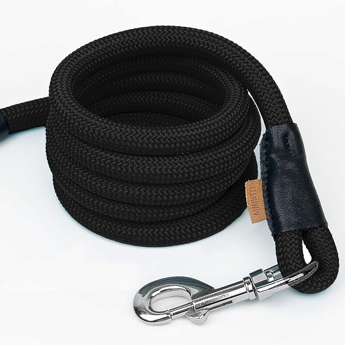Dog Leash ((1/3") - 6FT, Black)