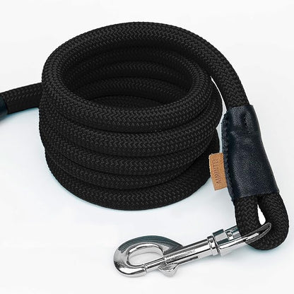 Dog Leash ((1/3") - 6FT, Black)