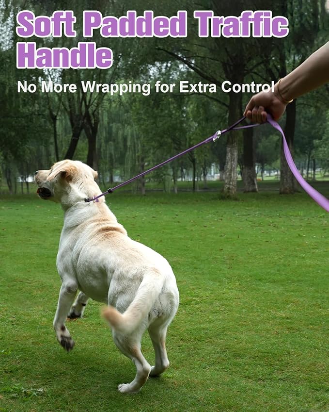 Aiyuda Tangle-Free Slip Lead for Dogs with Padded Traffic Handle 6ft Dog 40 LBS,Purple/Black