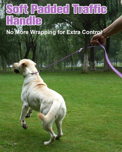Aiyuda Tangle-Free Slip Lead for Dogs with Padded Traffic Handle 6ft Dog 40 LBS,Purple/Black