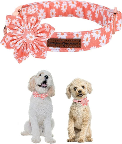 Unique style paws Dog Collar with Flower Tie