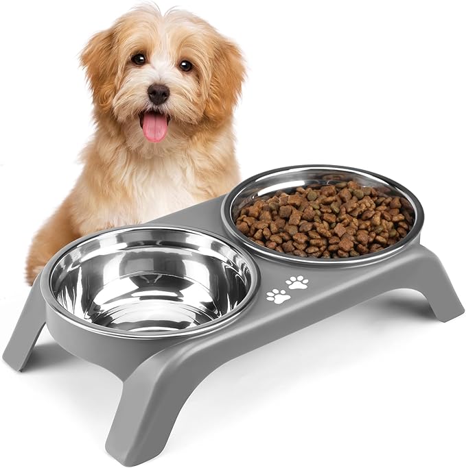 Elevated Cat Bowls - Anti-Vomiting Raised Cat Bowl Stand with 2 Thick Stainless Steel Cat Bowls Non-Slip for Small Medium Indoor Cats & Puppies, Dishwasher Safe Grey