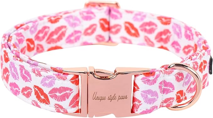 Unique Style Paws Valentine's Day Dog Collar Heart